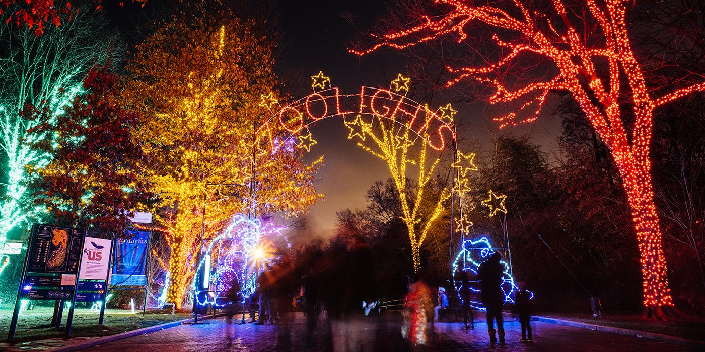 Guest Post: ZooLights and more fun at the National Zoo - Beltway Bambinos